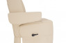 Ethos RV Captains Chair